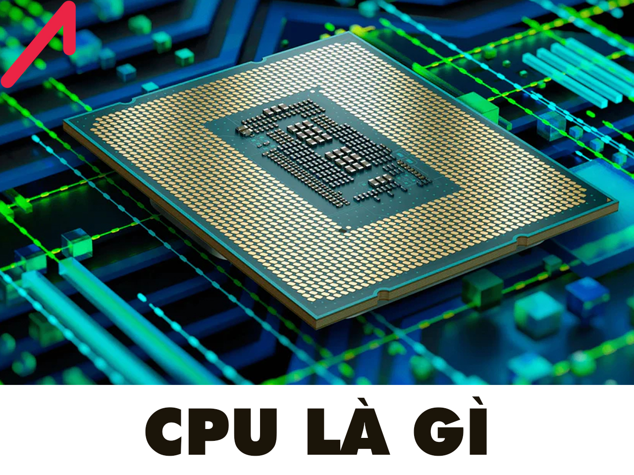 Phân Công Lao động Giữa AI Và Con Người