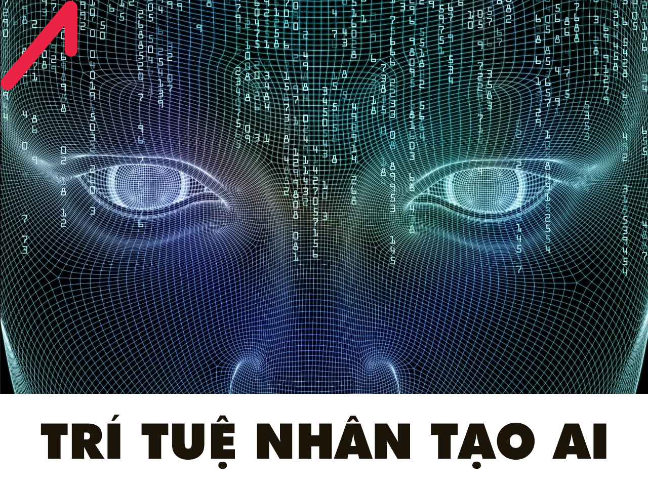 ASUS Fanless Chromebox Cung Cấp Sức Mạnh Cho Các Giải Pháp Digital Signage