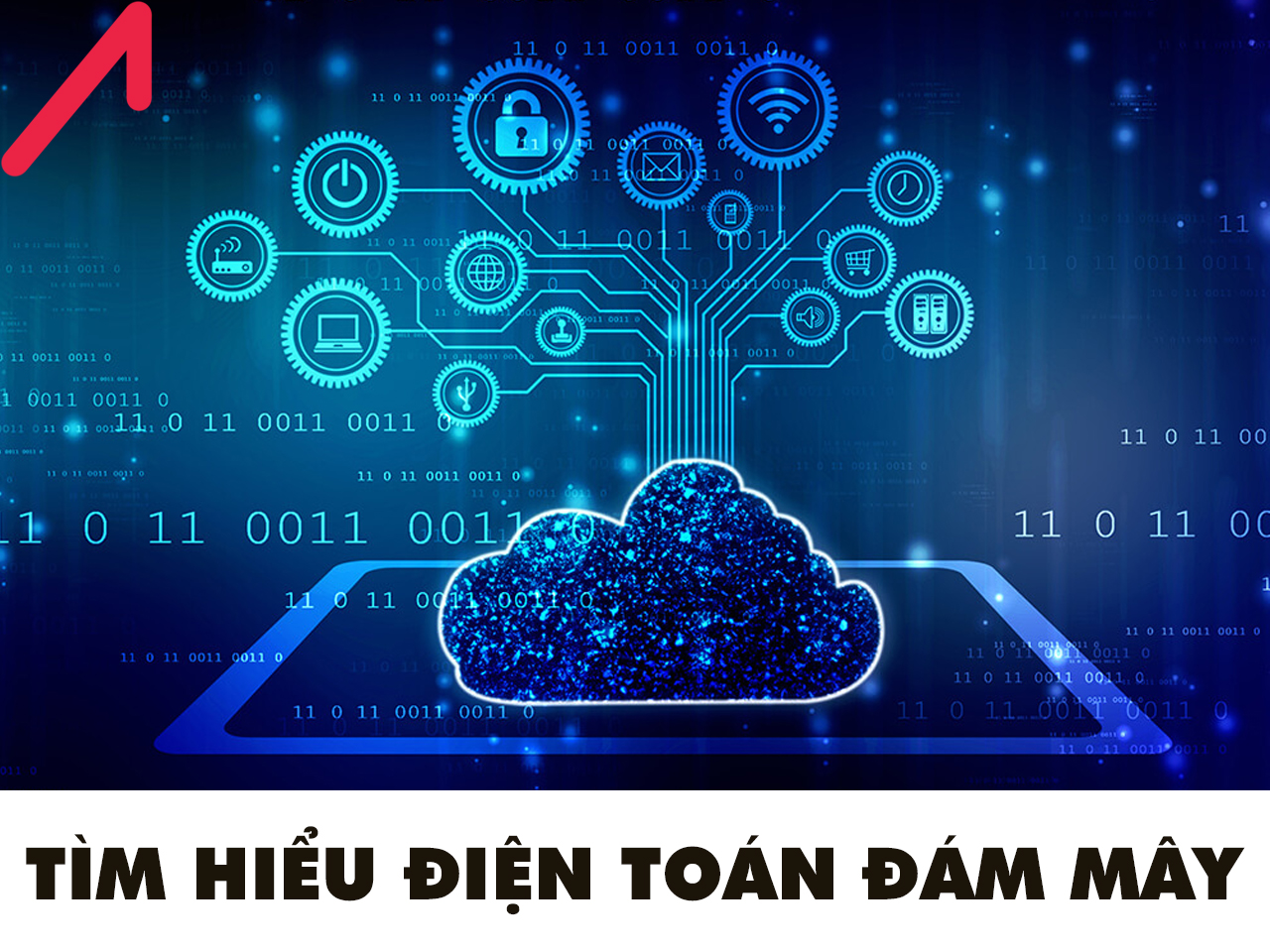 Một Công Ty Tại Trung Quốc Sử Dụng Tinker Board Trong Giải Pháp Hỗ Trợ Theo Dõi, Phân Loại Và Phân Phối Các Gói Hàng Hiệu Quả